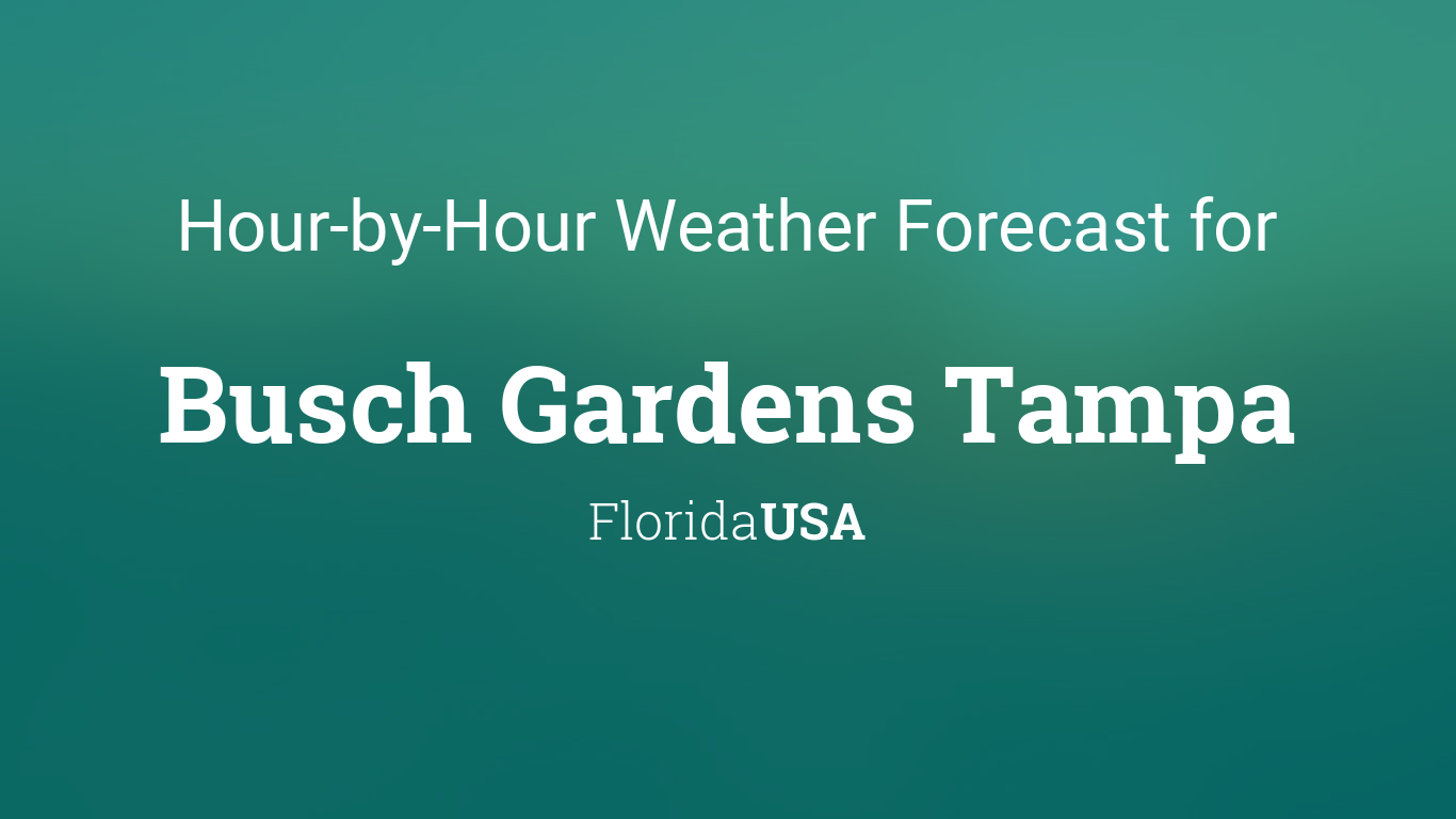 Hourly Forecast For Busch Gardens Tampa Florida Usa