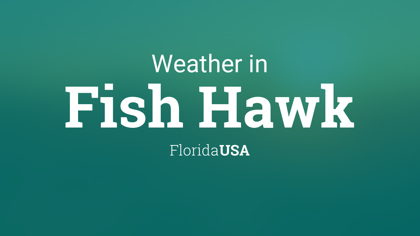 Weather for Fish Hawk, Florida, USA