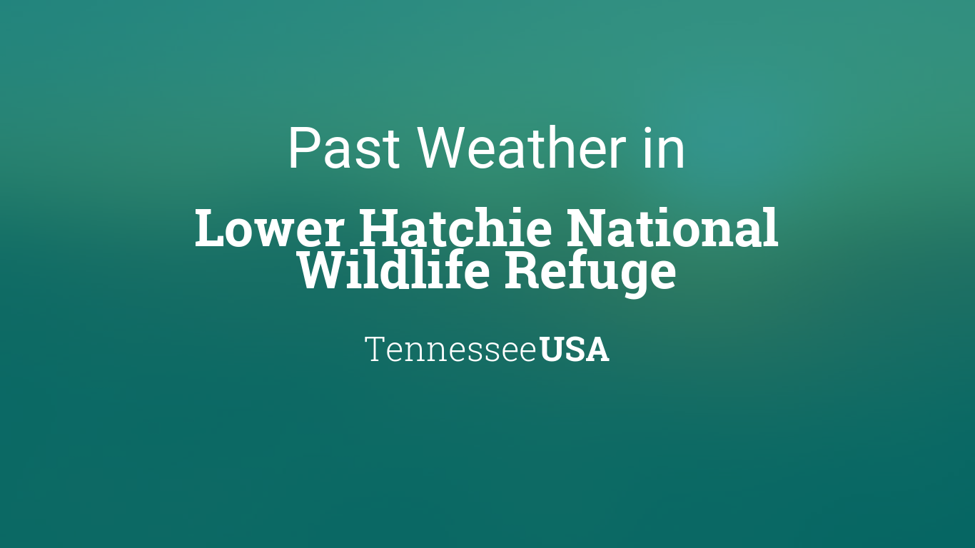 Past Weather in Lower Hatchie National Wildlife Refuge, Tennessee, USA