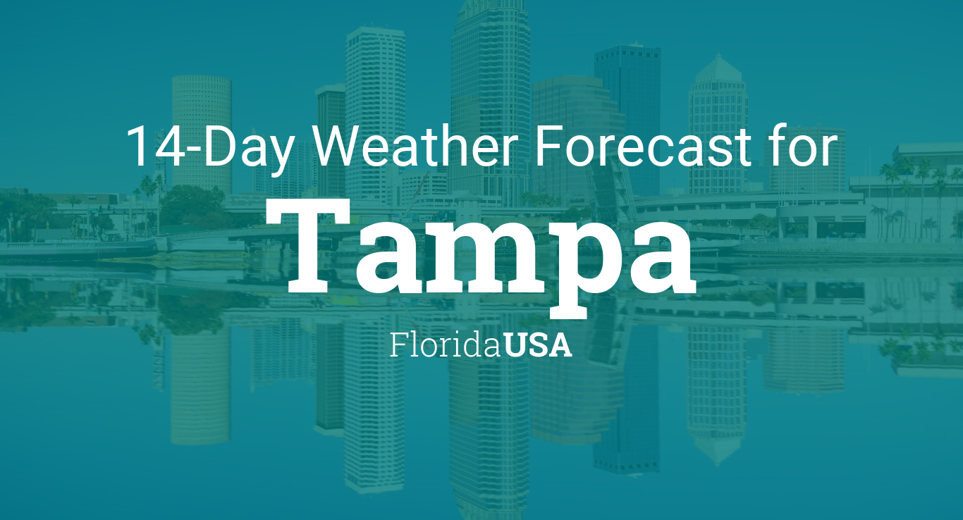 What Is The Weather Tonight In Tampa Florida WISTHA